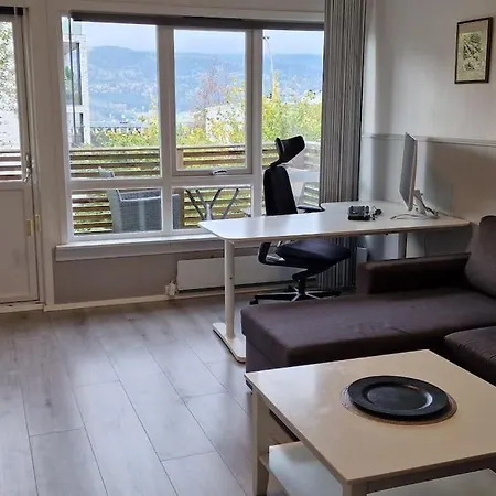 2 Bedroom Leilighet Lillehammer